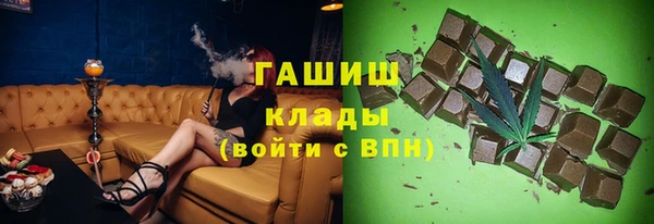 прущие грибы Алзамай