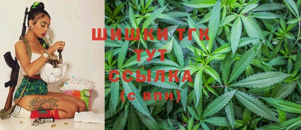 прущие грибы Алзамай