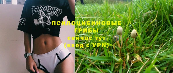 эйфоретик Алексеевка