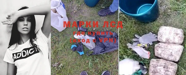 прущие грибы Алзамай