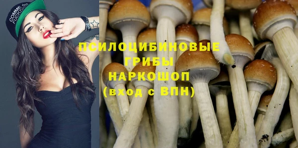 прущие грибы Алзамай
